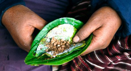 Kebiasaan Menginang Memang Bisa Kuatkan Gigi Tapi Merusak Gusi