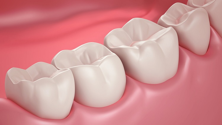 Informasi terkait dentin gigi terbuka, Sumber: listerine.co.id