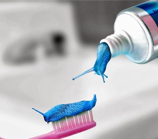 Menyikat Gigi | Sikat gigi