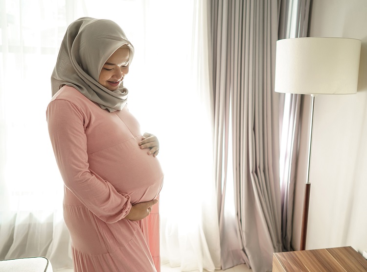 Informasi terkait perawatan saluran akar pada ibu hamil, Sumber: umsida.ac.id