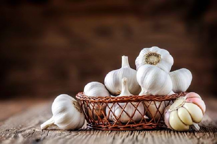 Informasi terkait manfaat bawang putih untuk sakit gigi, Sumber: alodokter.com