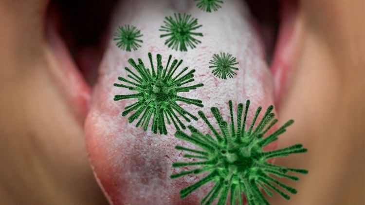 Berbagai jenis bakteri yang ada di mulut, Sumber: klikdokter.com